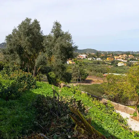 Live Finca El Gamonal Bajo Con Piscina Y Jardin En La Naturaleza Santa Brigida (Gran Canaria)