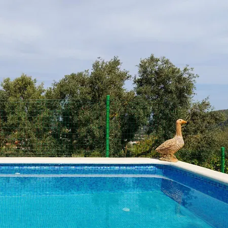 Live Finca El Gamonal Bajo Con Piscina Y Jardin En La Naturaleza * Santa Brigida (Gran Canaria)
